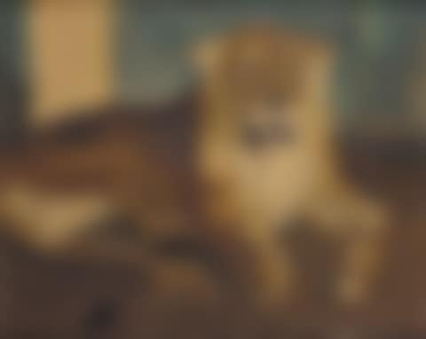 Lioness (preview)