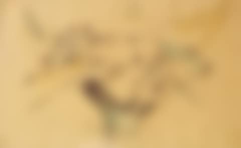 Liegendes katzchen (preview)