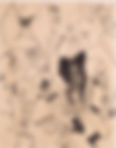 Composition (preview)