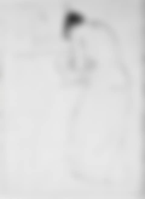 Woman bathing, la toilette (preview)