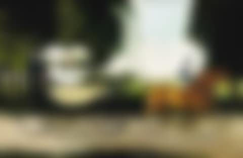 Returning from the races (preview)