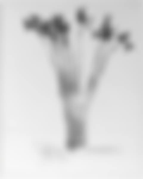 Still life with book (preview)