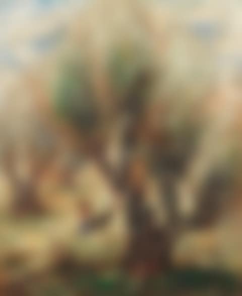Olive trees (preview)