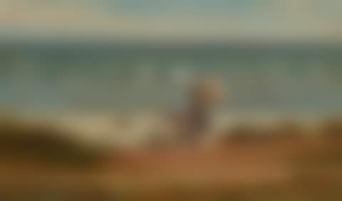 On the Beach at Marshfield (preview)