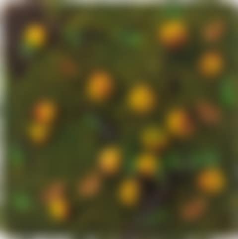 Pesche cadute (preview)