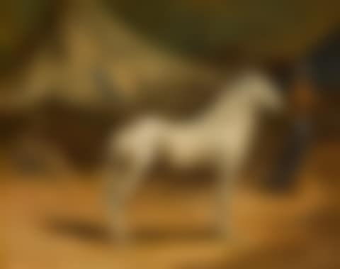 The Encampment (preview)