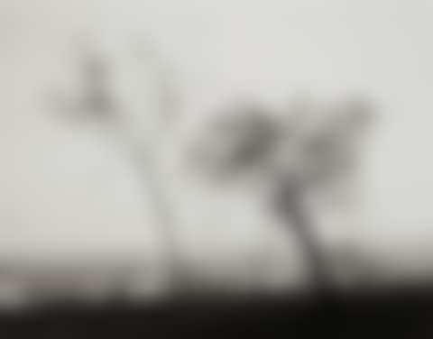 "Overlooking Long Beach, California" (On Signal Hill) (preview)