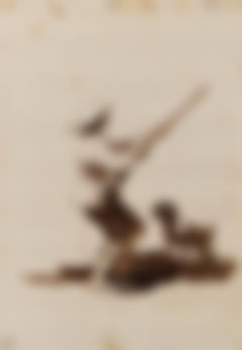Hunter loading his gun, accompanied by dog (preview)