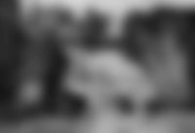 Travellers and Bearers crossing a Waterfall in a topographical Landscape (preview)