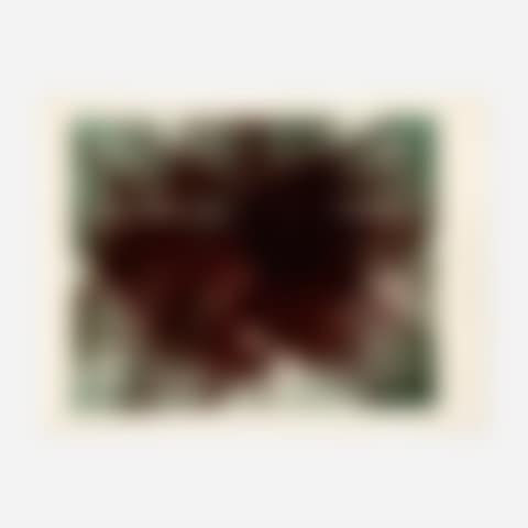 Untitled (Monotype) (preview)