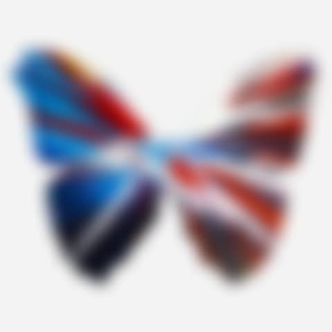 Butterfly Spin Painting (preview)