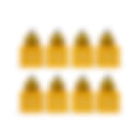 Yellow Pumpkin (Eight Works) (preview)