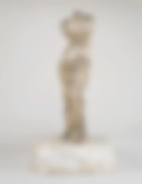 Silver Venus (preview)