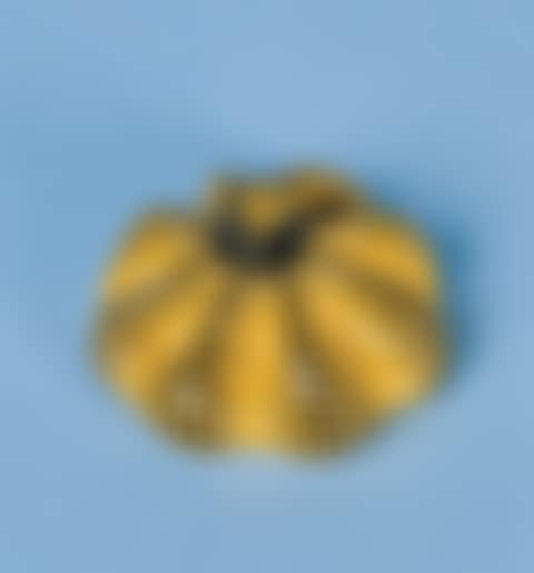 Pumpkin (preview)