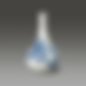 Blue & White Porcelain Bottle (preview)