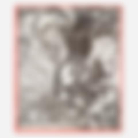 Swan Engravings exhibition poster (preview)