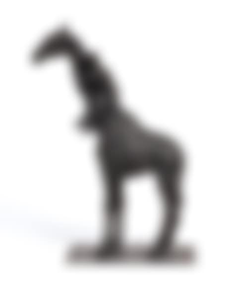 Giraffe und Mann (preview)