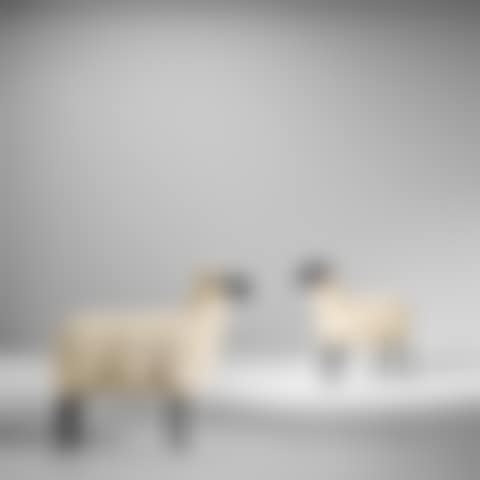 'Mouton de Pierre' and 'Mouton Transhumant' (preview)