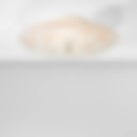 Large ceiling light (preview)