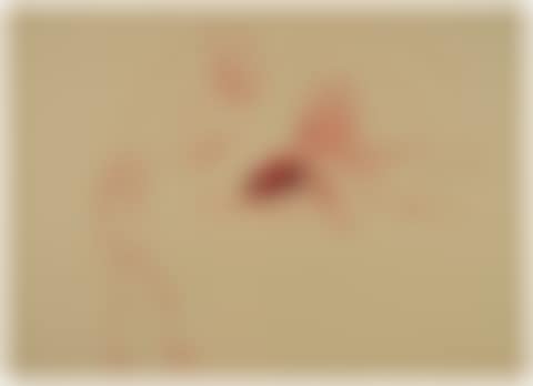 Spur I (Trace I) (preview)