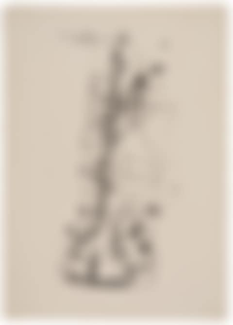 Vogelkomödie, from 25 Originailithographien der Münchener Neuen Secession (preview)