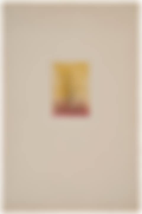 Untitled, from Sept microbes vus à travers un tempérament (preview)