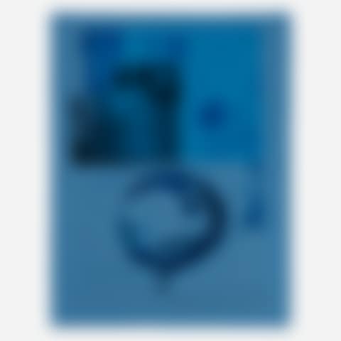 Romances (Yoke) (from the Romances series) (preview)
