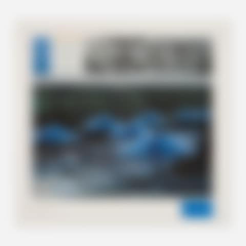 Blue Umbrellas, Joint Project for Japan and USA (preview)