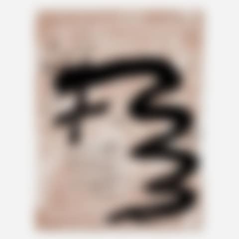 Untitled (from the Columbus: In Search of a New Tomorrow portfolio) (preview)