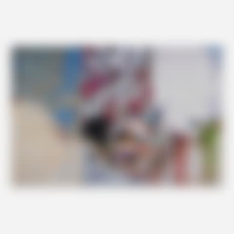 727 x 777 (preview)