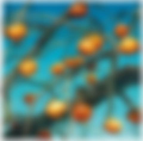 Persimmon (preview)
