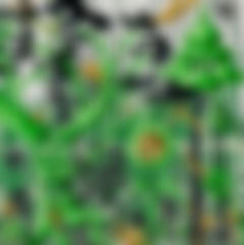 Furungle 4 (preview)