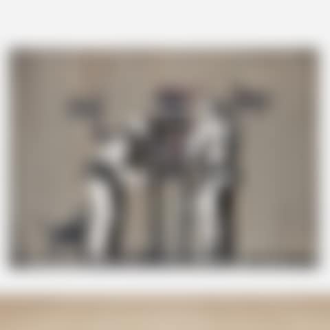Banksquiat. Boy and Dog in Stop and Search (preview)