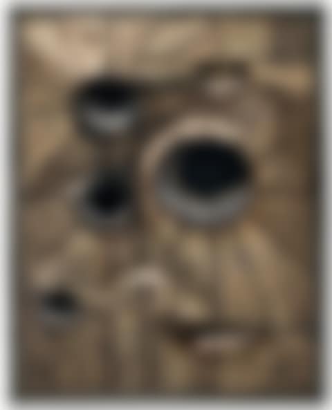 Untitled (preview)