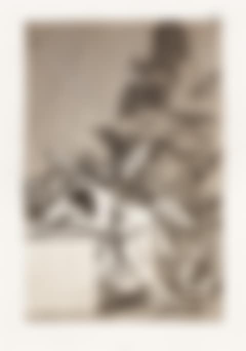 Los Caprichos (preview)