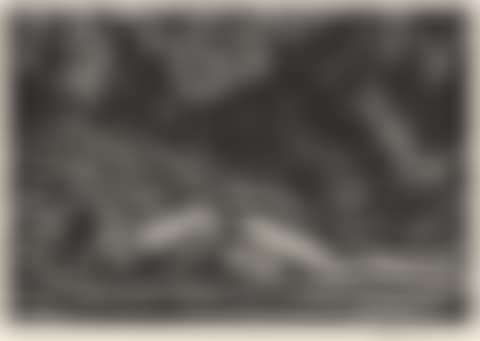Forest Pool (preview)