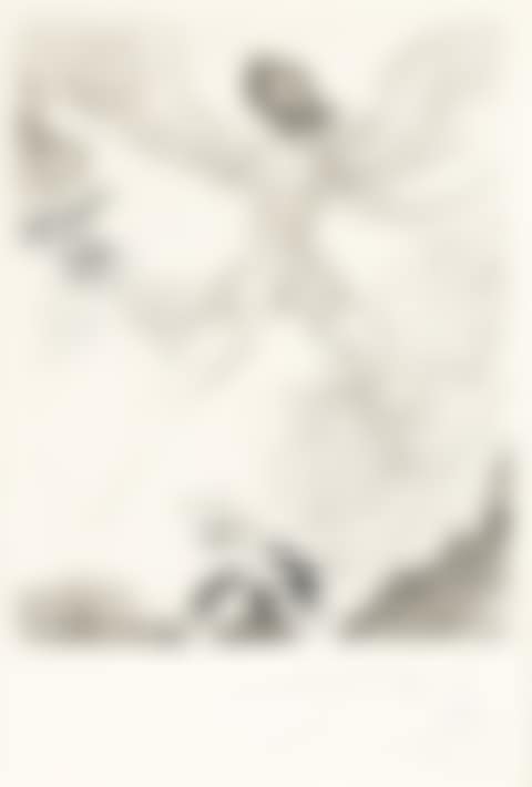 Icarus (preview)