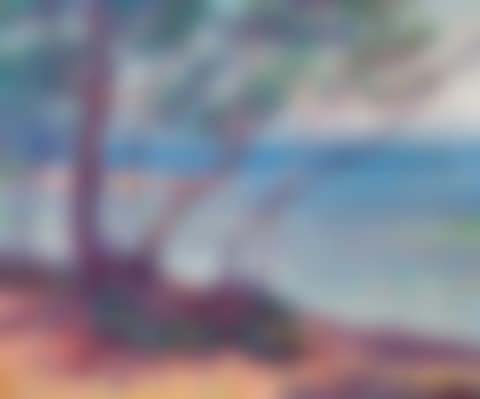 Paysage (preview)