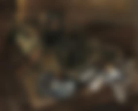 Table garnie (preview)