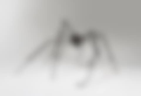 Spider (preview)