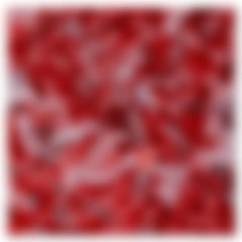 INFINITY-NETS (TWXOB) (preview)