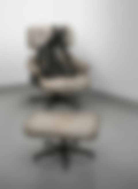 Tit Cat Eames Chair (preview)