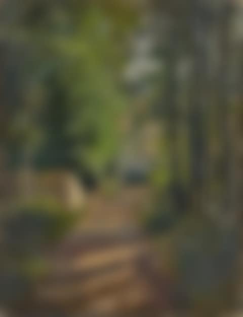 Allée sous-bois, Normandie (preview)