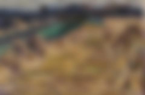 Kornfeld bei Dresden (Cornfield near Dresden) (preview)