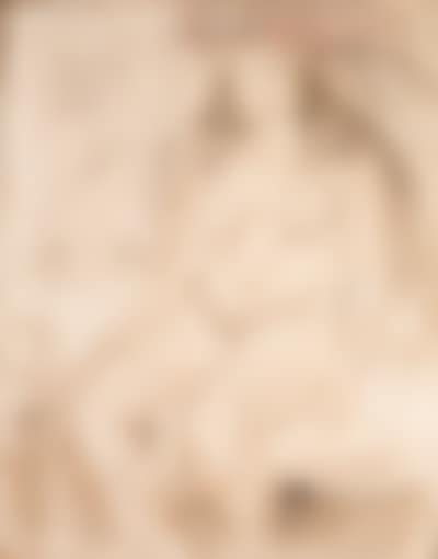 India con collar verde (preview)