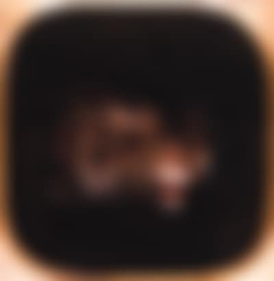 Head of wild cat (preview)