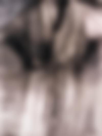 Visiting with Charcoal III (preview)