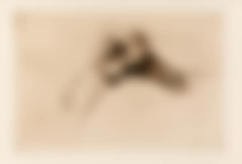 The map (preview)
