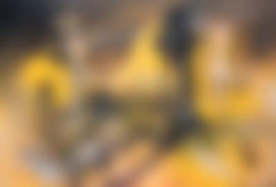 Le honni (preview)