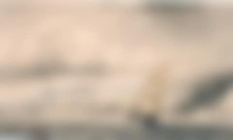 View of a French harbour (preview)